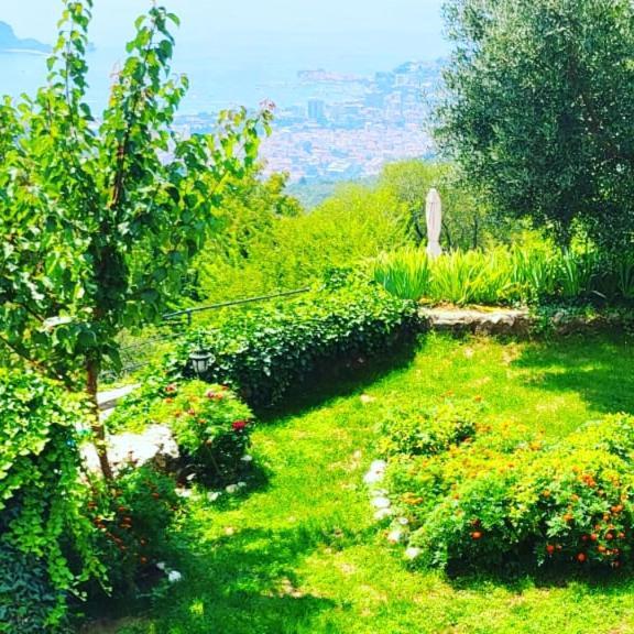 Villa Nera Budva Extérieur photo