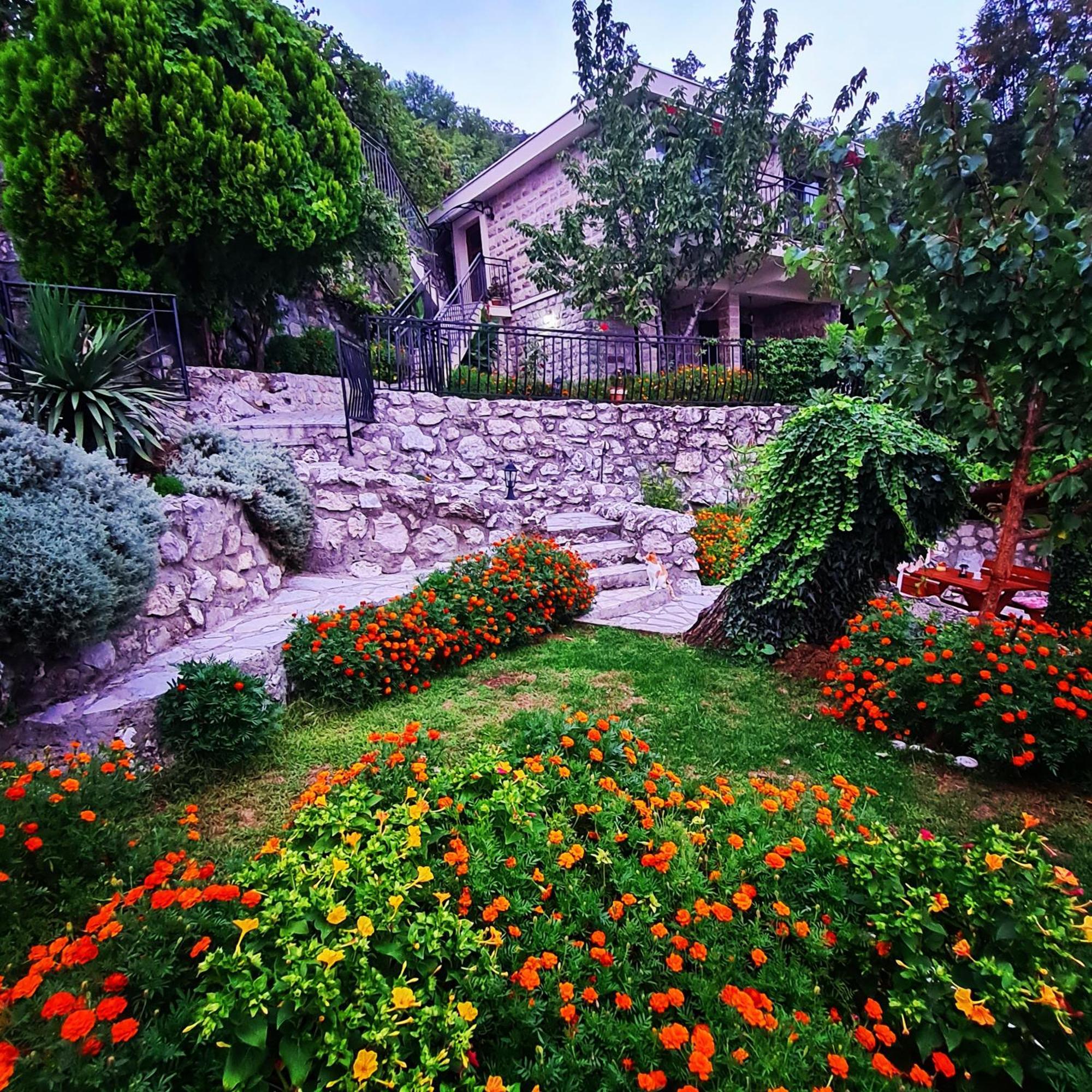 Villa Nera Budva Extérieur photo